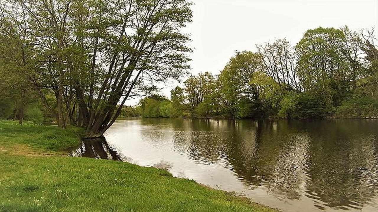 Joli Petit T4 Confortable Au Bord De Leau Vieille-Brioude Bagian luar foto